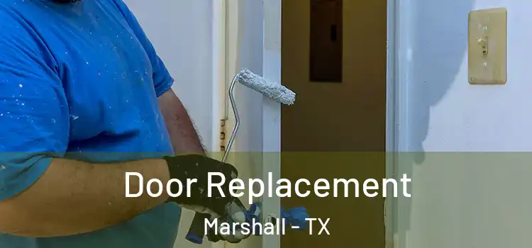  Door Replacement Marshall - TX